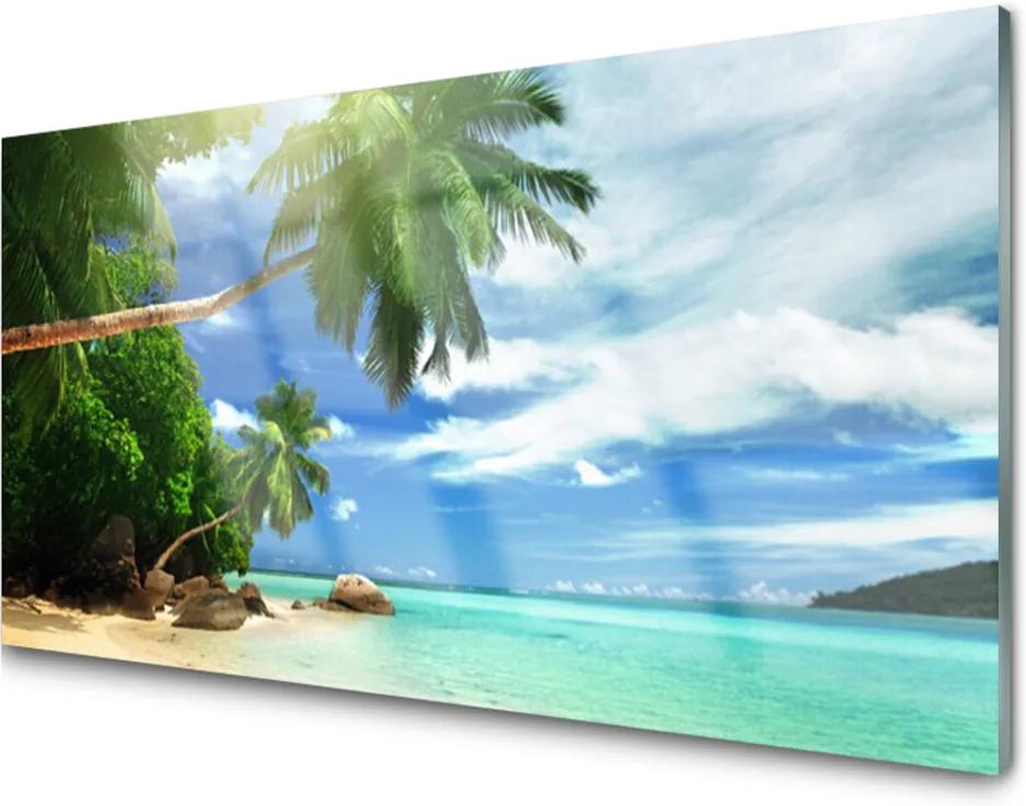 Skleněný obraz Palma Pláž More Krajina
