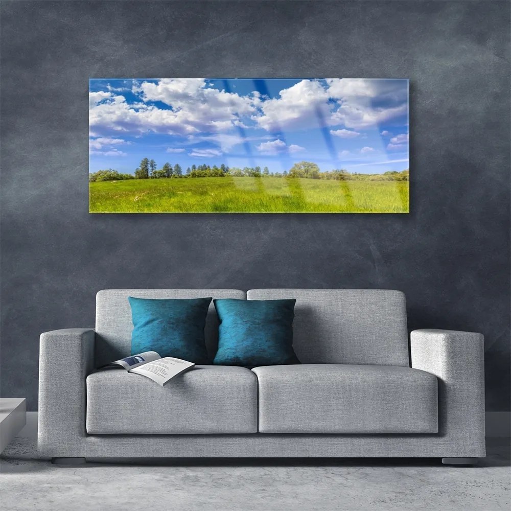 Obraz plexi Lúka tráva nebo krajina 125x50 cm