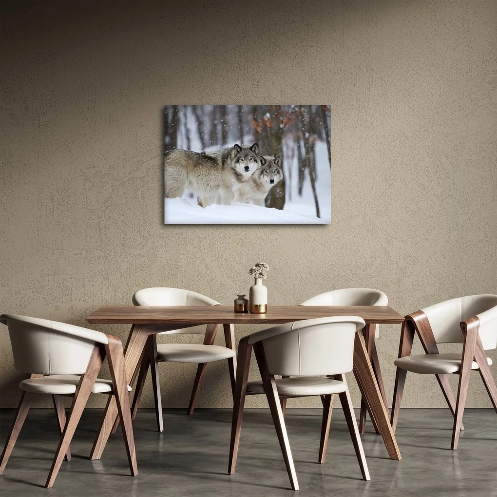 Obraz - Vlci v zime (70x50 cm)