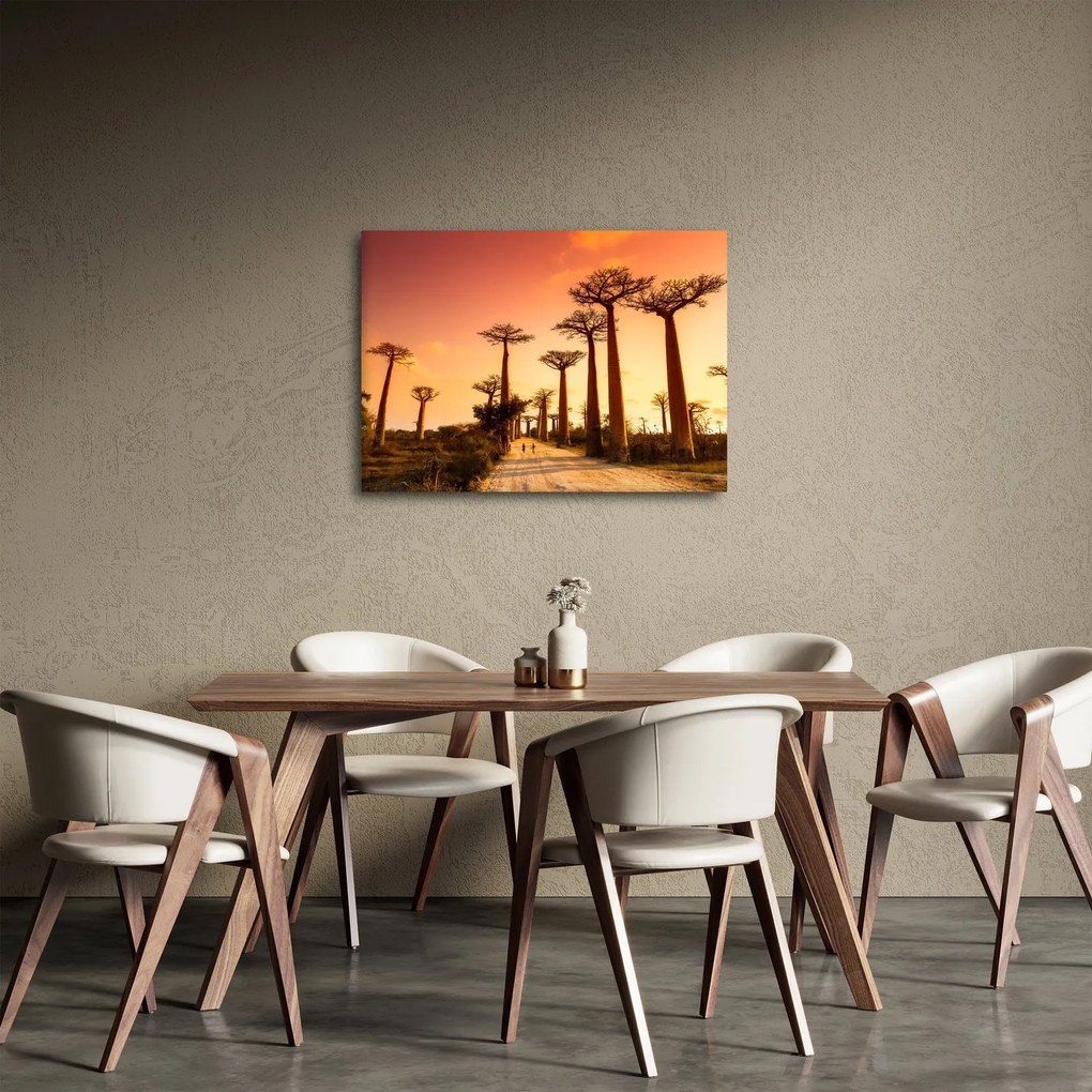 Obraz - Západ slnka v uličke Baobab (70x50 cm)