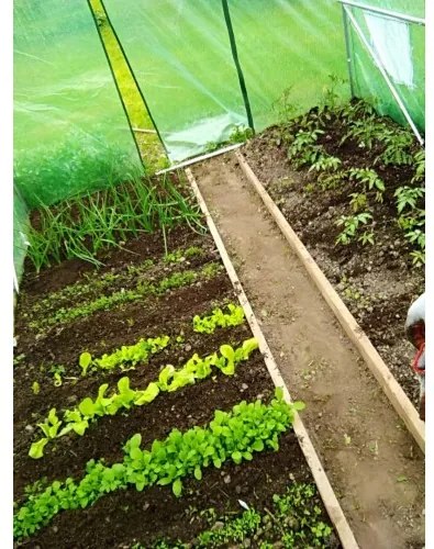 Záhradný fóliovník 3,5m x 2m x 2m GARDEN LINE – TUN5576