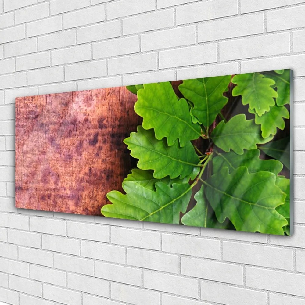 Obraz na akrylátovom skle Listy dub 125x50 cm