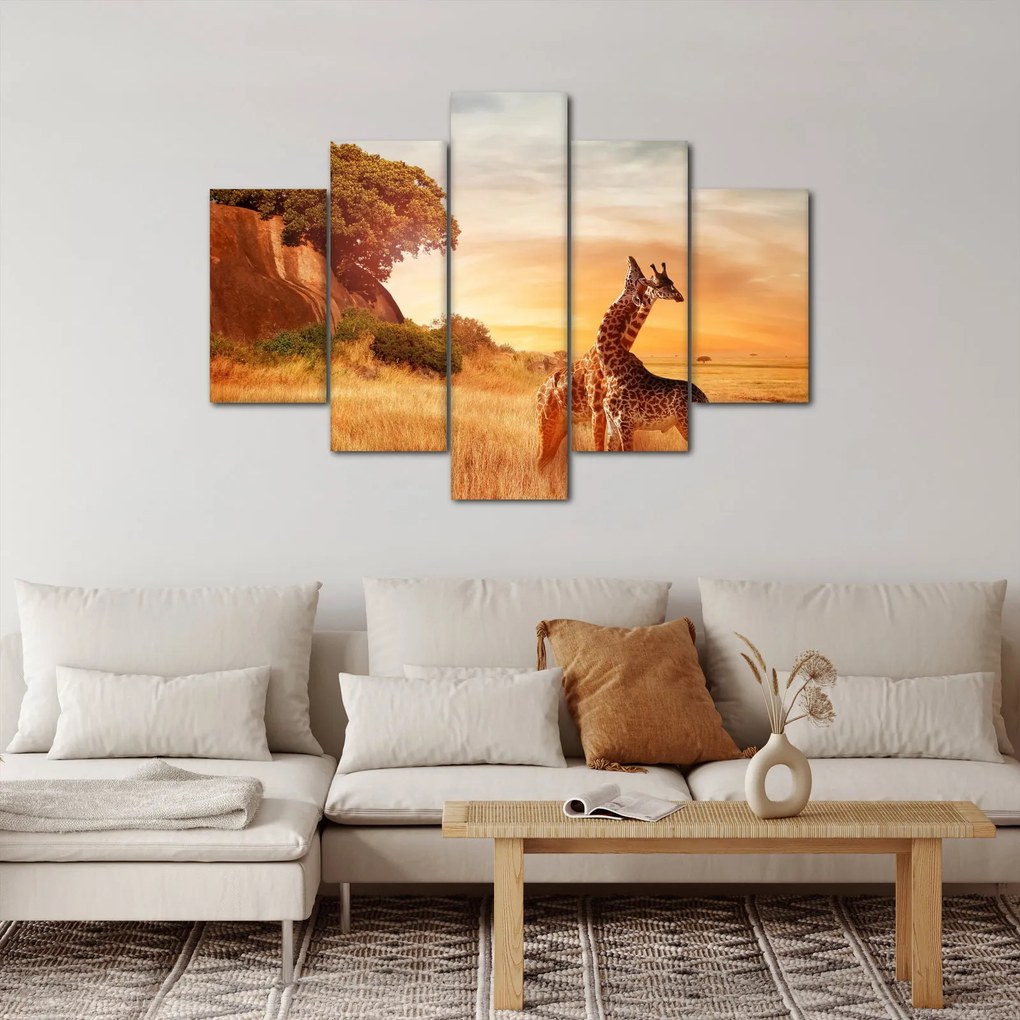 Obraz - Žirafy v Afrike (150x105 cm)