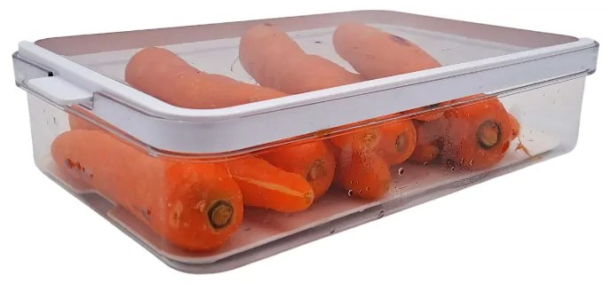 Rotho Organizér do chladničky s vekom a špeciálnou podložkou 2,6 l CAUMA