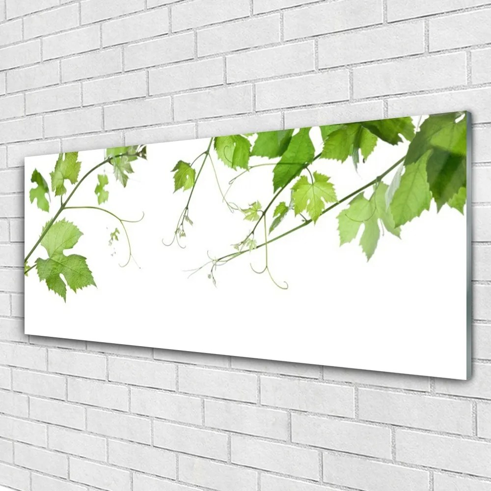 Obraz plexi Vetvy listy príroda kvety 125x50 cm
