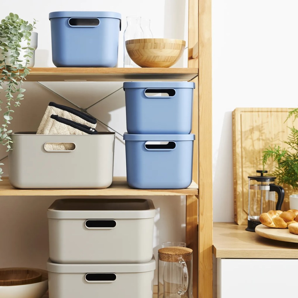 Rotho Úložný box, rovný s vekom, 12l, modrý ALBU LIGHT , 40x24x18