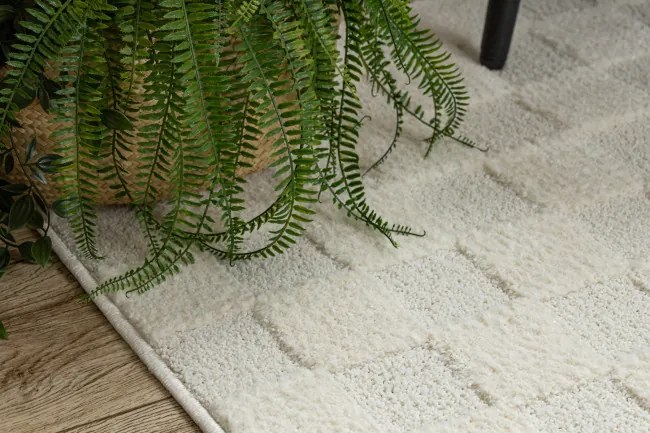 Koberec DUNE 2838 krémový