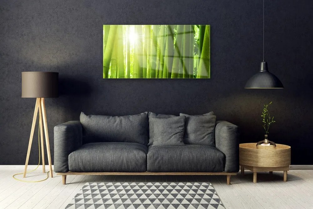 Obraz na skle Bambus rastlina 125x50 cm