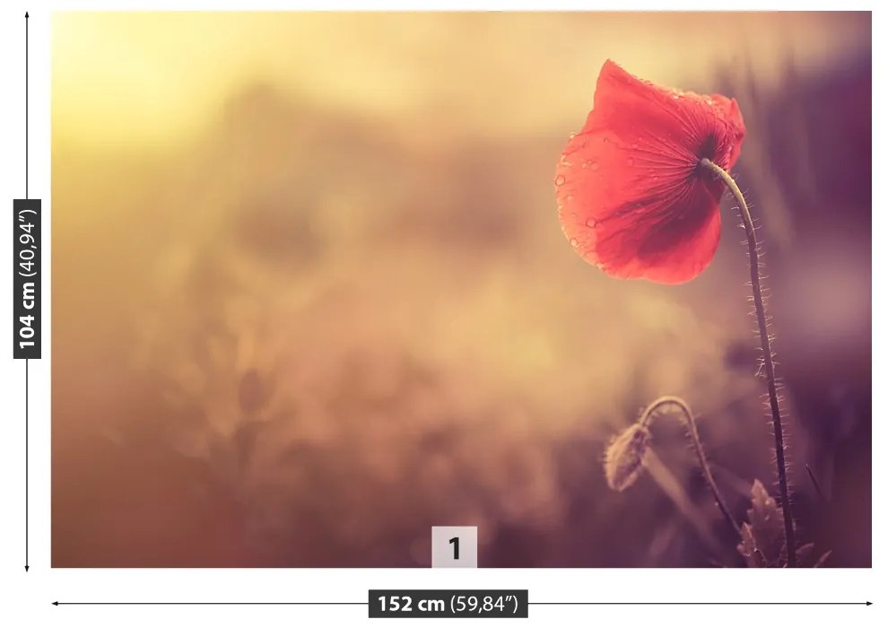 Fototapeta Vliesová Makový kvet 104x70 cm