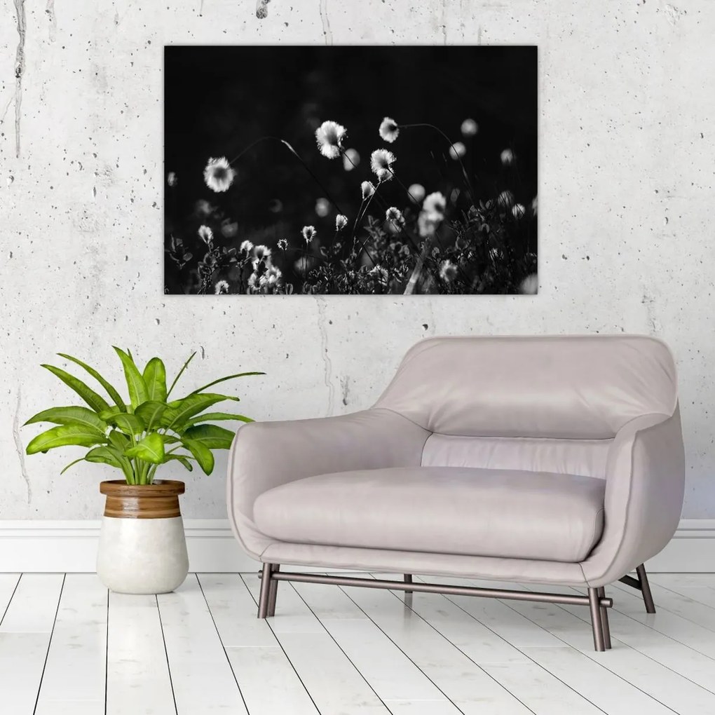 Obraz - Lúka s cottongrass N⁰1 (90x60 cm)