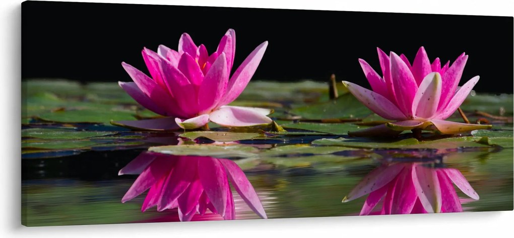 Obraz lekien na vode (120x50 cm)