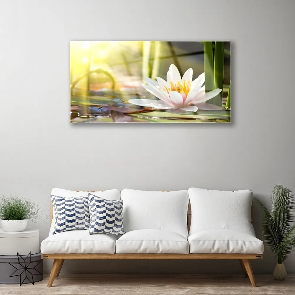 Skleneny obraz Kvet vodné lilie 120x60 cm