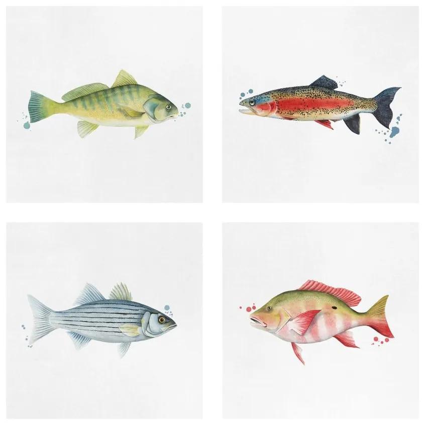 Manufakturer -  Štvordielny obraz Farebné zachytávanie - súprava rýb I
