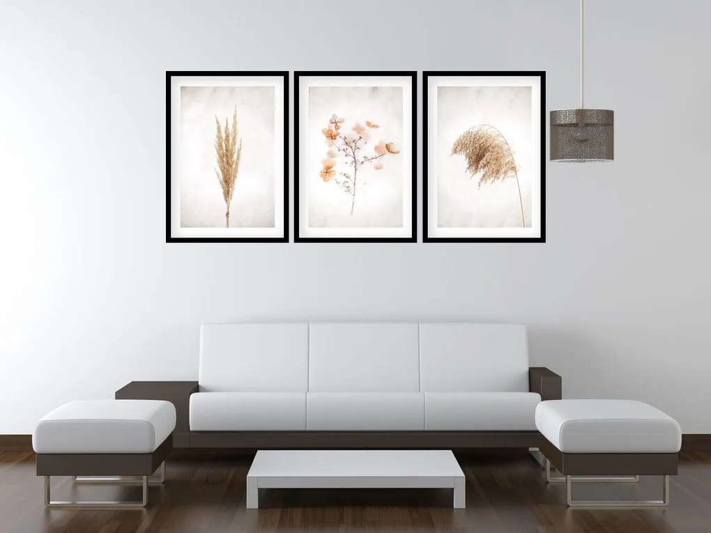 Gario Sada plagátov Dry nature - 3 dielna Farba rámu: Bez rámu, Rozmery: 99 x 45 cm
