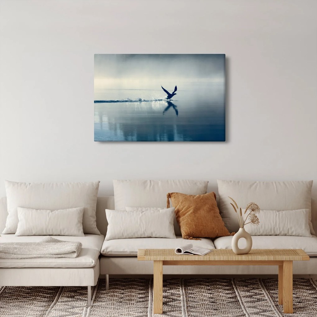 Obraz - Potáplica (90x60 cm)