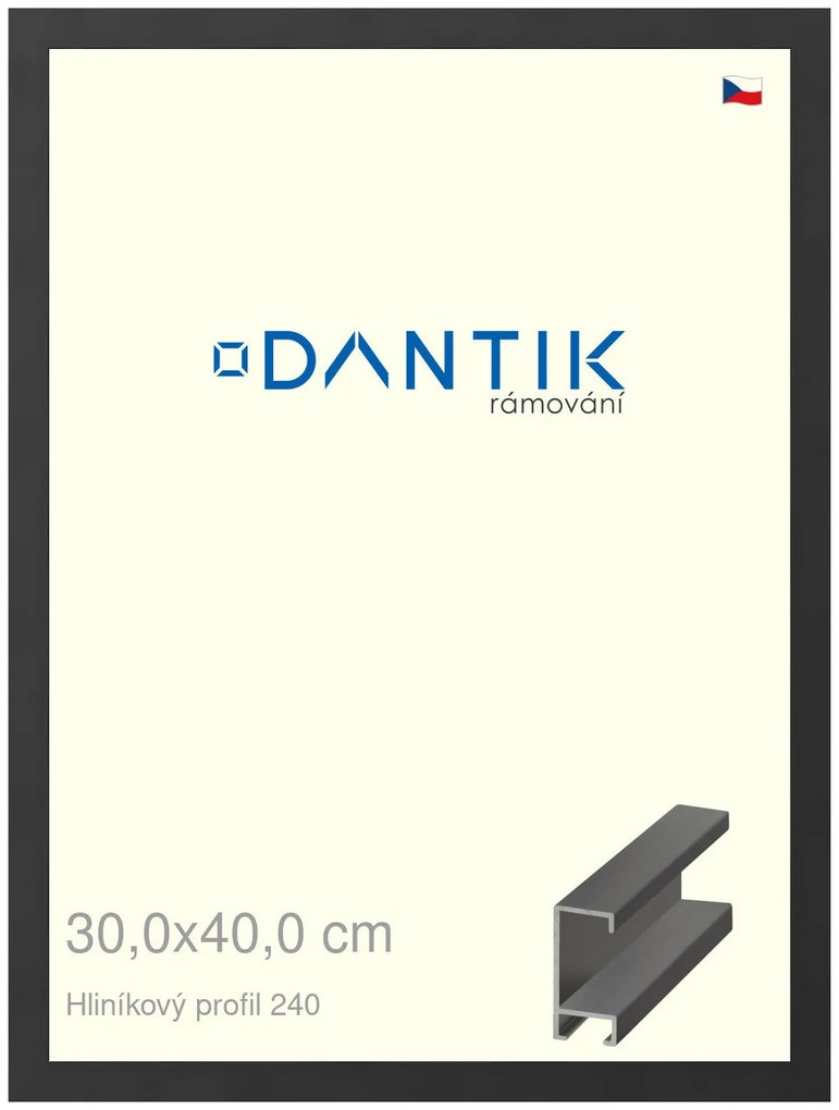 DANTIK rám na obraz 30x40 | ALU Černá matná (Plexi Čiré)