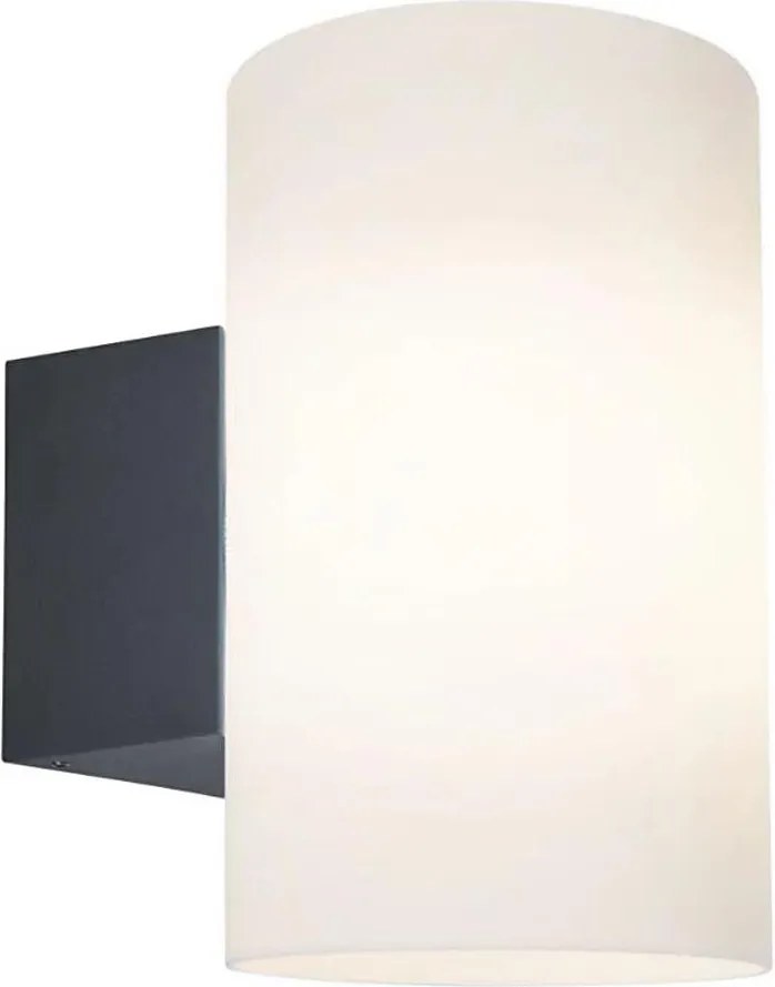 Paulmann 94186 - 1xE27/15W IP54 Vonkajšie nástenné svietidlo TUBE 230V