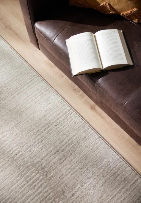 Koberec Ragolle Argentum 63849 6575