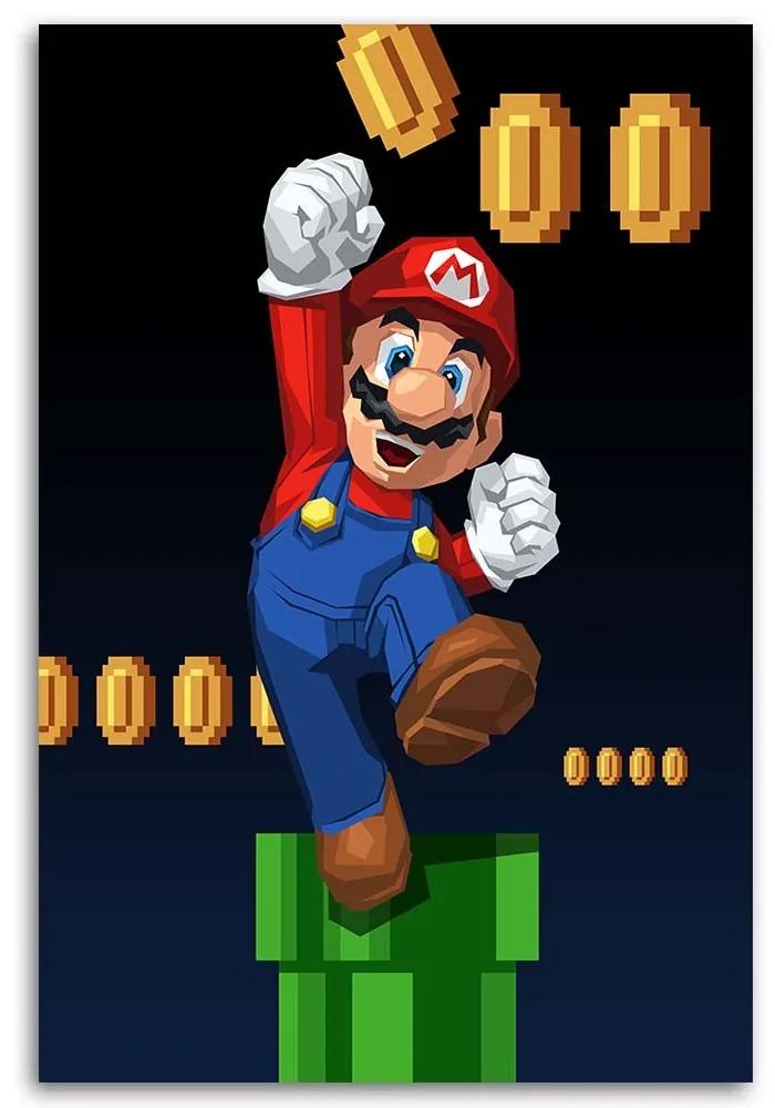 Gario Obraz na plátne Hra Mario Bros - Nikita Abakumov Rozmery: 40 x 60 cm