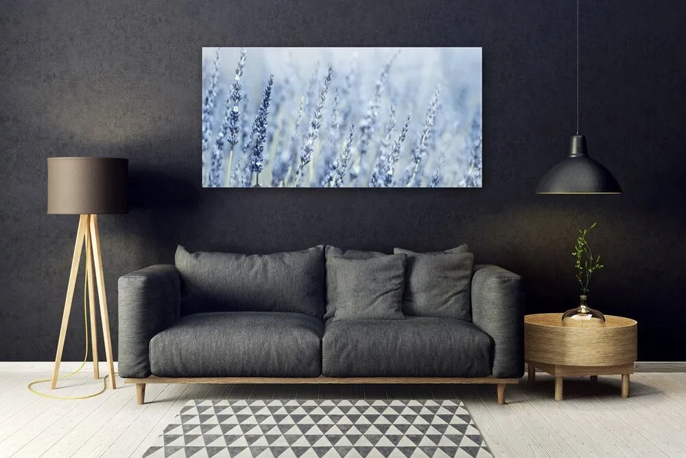 Obraz plexi Kvety klasy lúka príroda 120x60 cm