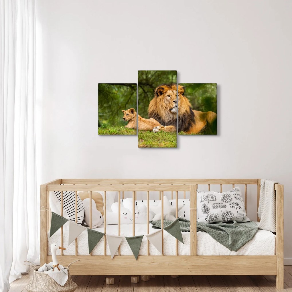 Obraz levov (90x60 cm)