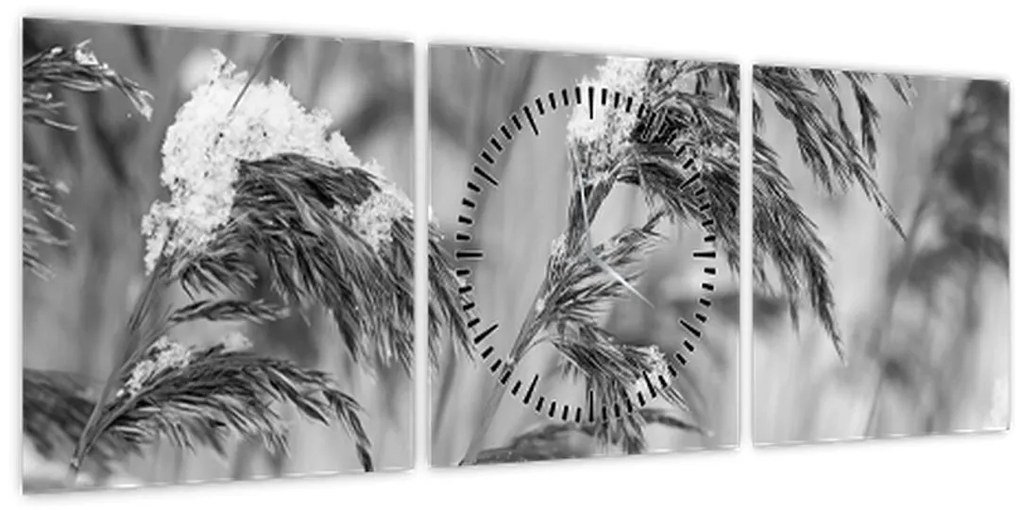 Obraz - Lipnica, čiernobiela (s hodinami) (90x30 cm)