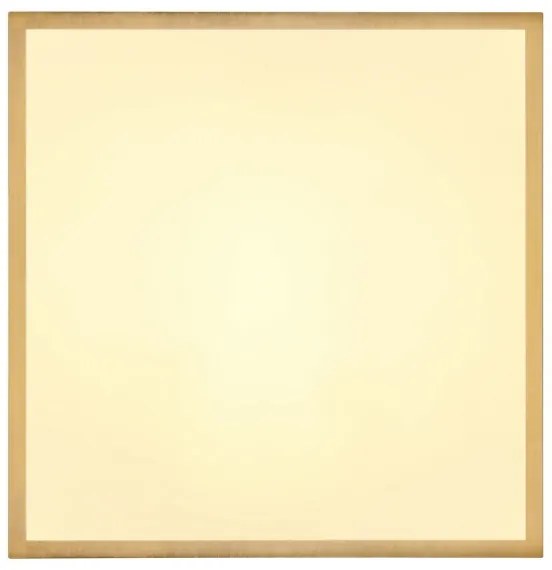 Globo 12382-22 - LED Stropné svietidlo TIBEY LED/22W/230V 35x35 cm