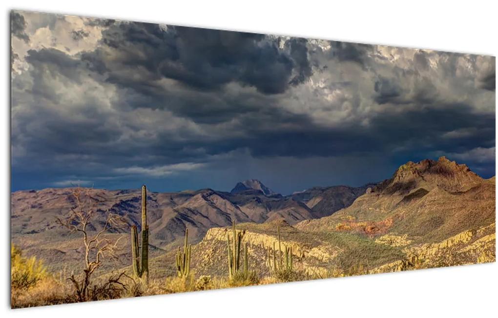 Obraz - kaktusy v prírode (120x50 cm)