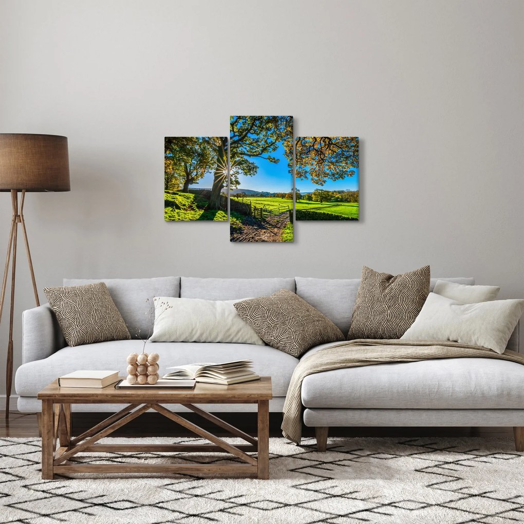 Obraz - Výhľad na pole (90x60 cm)