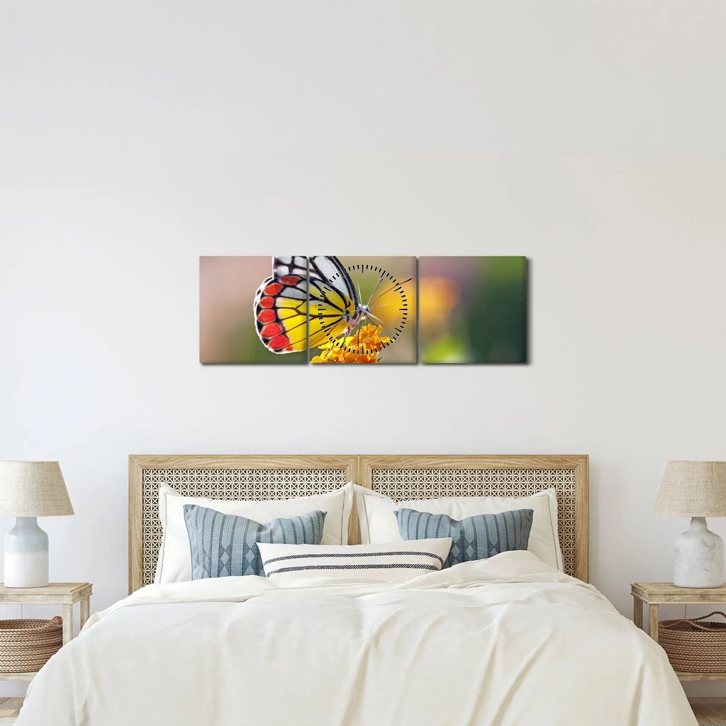 Obraz motýľa na kvete (s hodinami) (90x30 cm)
