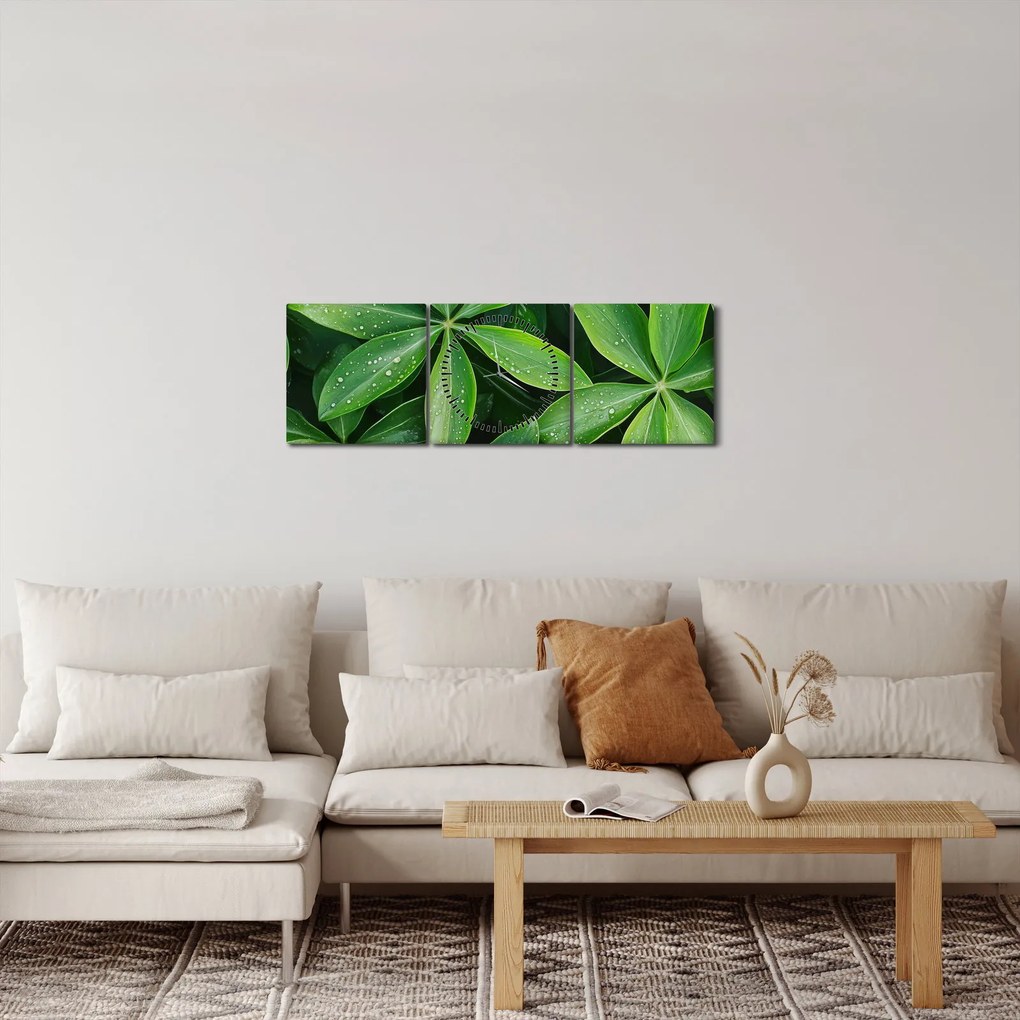 Obraz - Listy s kvapkami rosy (s hodinami) (90x30 cm)
