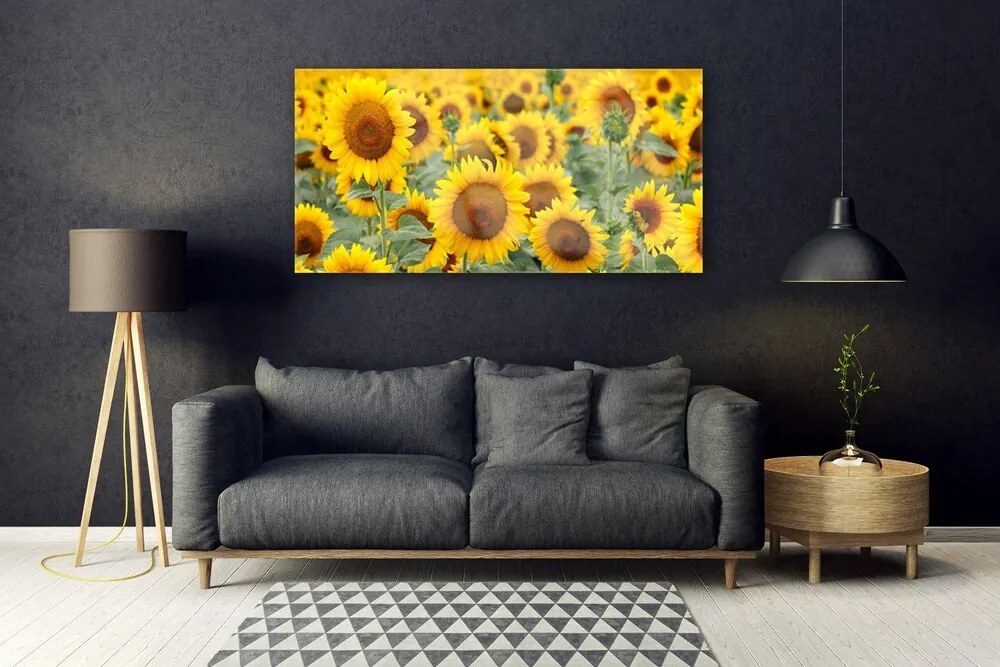 Obraz plexi Slnečnica rastlina príroda 120x60 cm