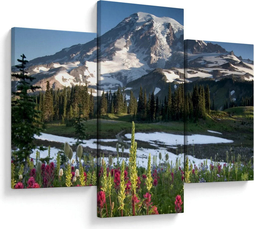 Obraz - Mount Rainier (90x60 cm)