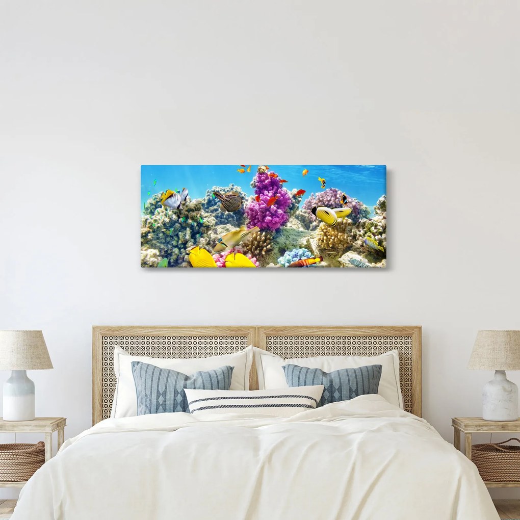 Obraz - Morský svet (120x50 cm)