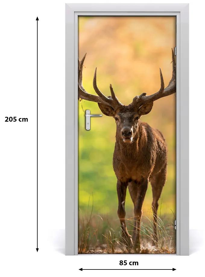 Fototapeta samolepiace na dvere jeleň v lese 85x205 cm