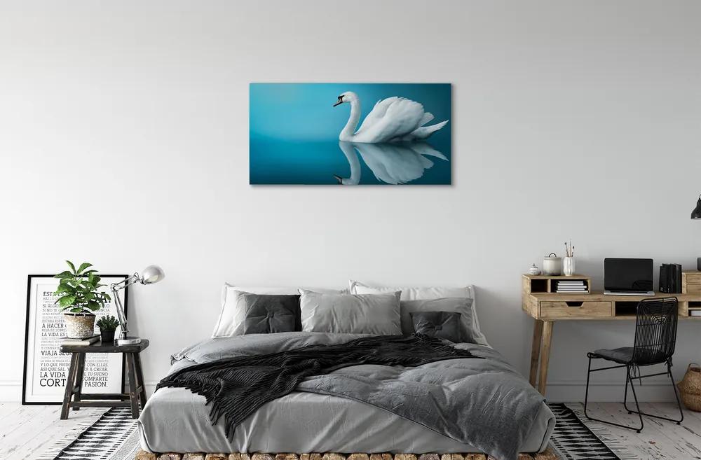 Obraz na plátne Swan vo vode 125x50 cm