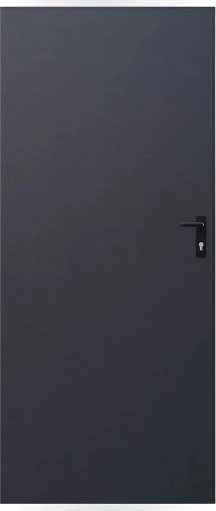 Plechové dvere 80, ľavé, antracit