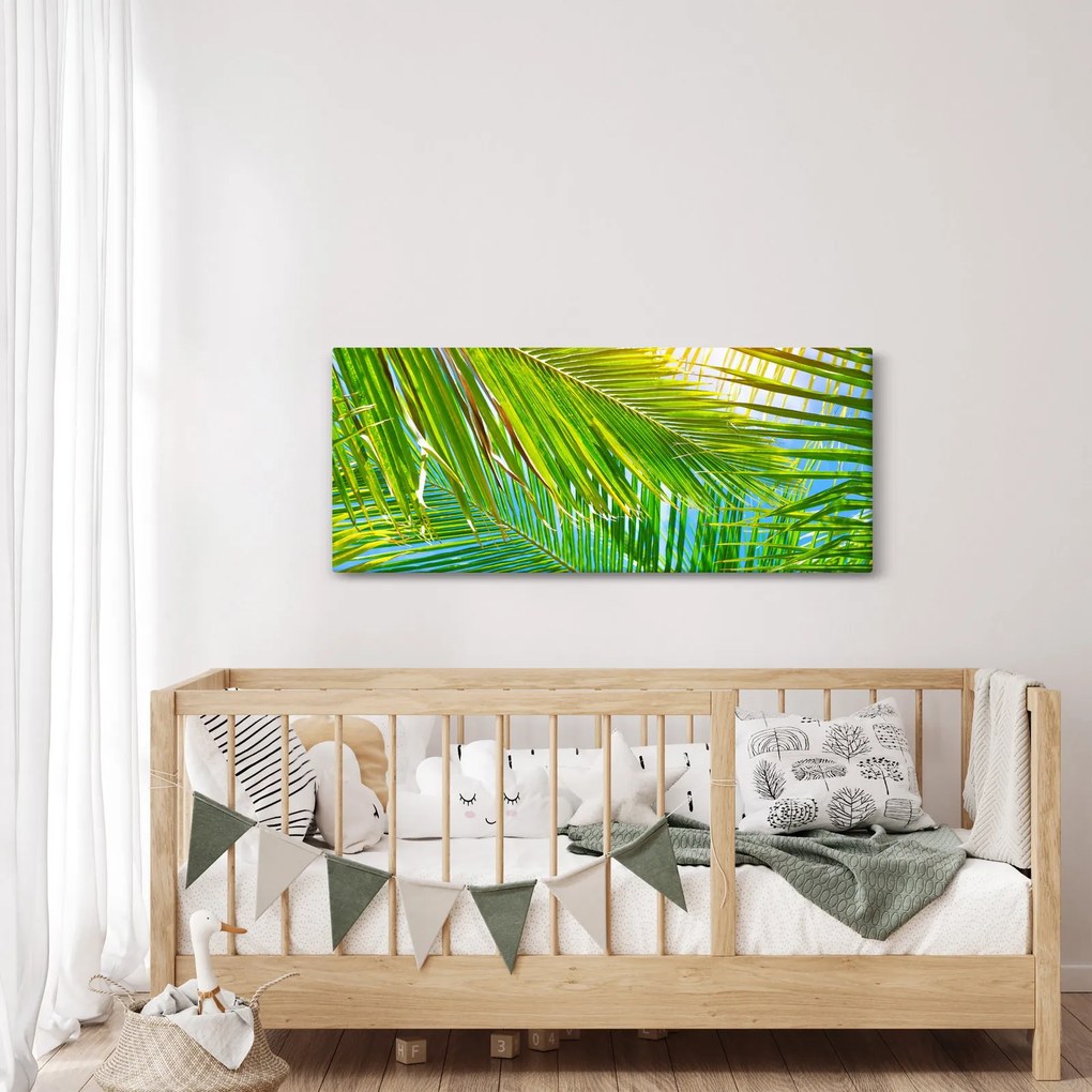 Obraz - Palmové listy (120x50 cm)