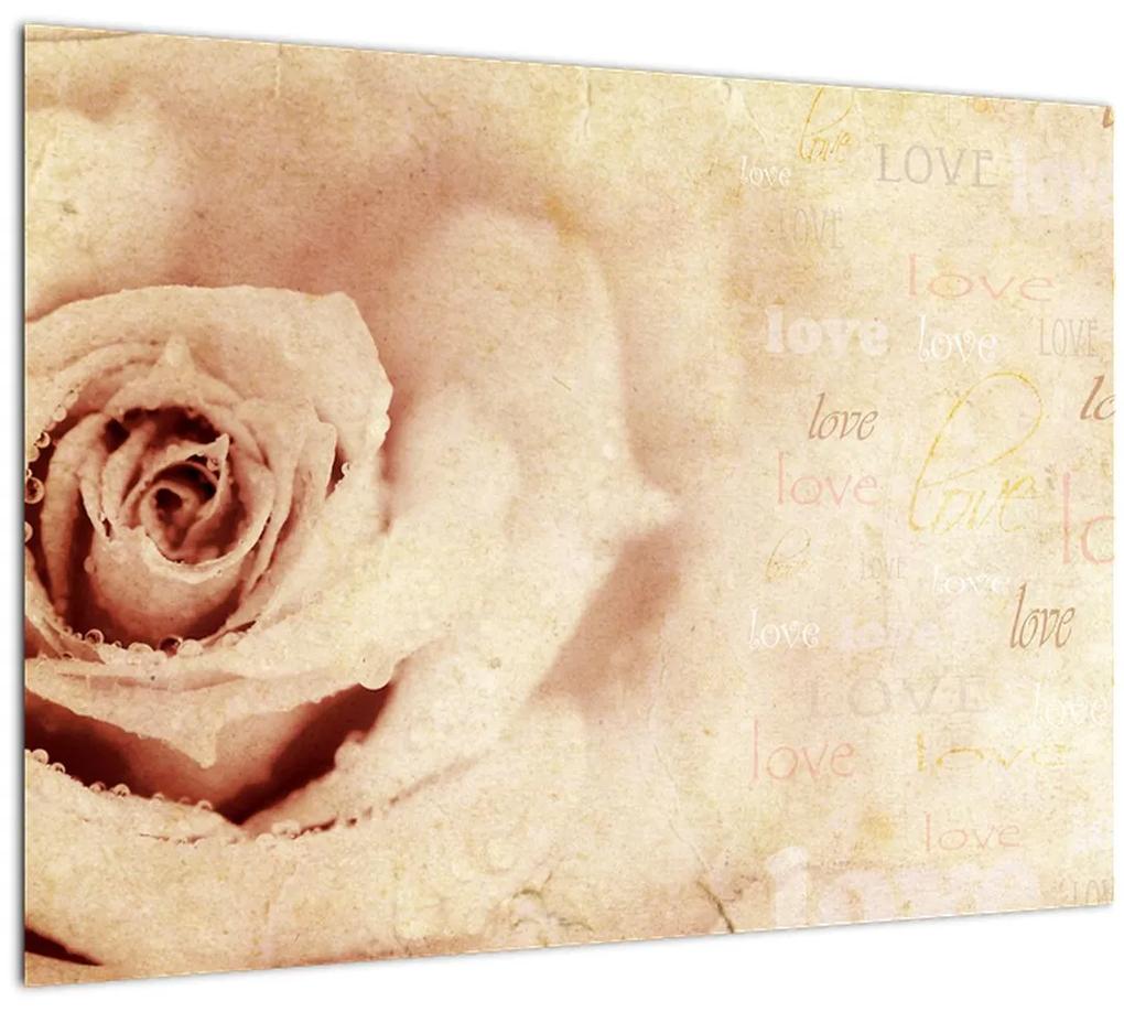 Sklenený obraz - Kvet ruže pre zaľúbených (70x50 cm)