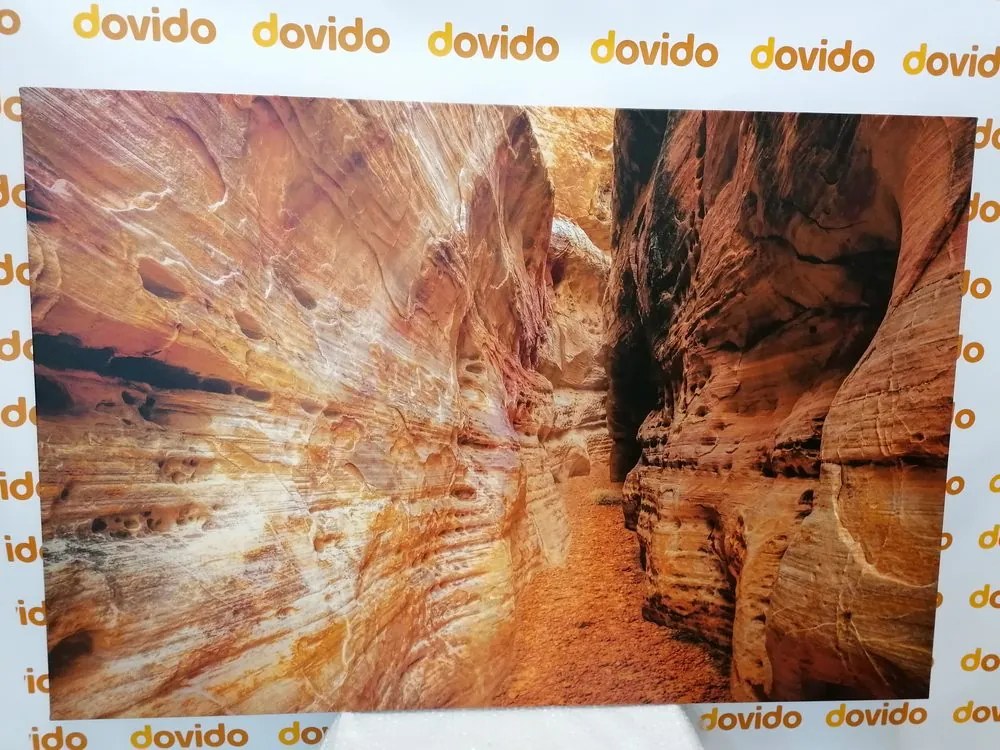 Obraz cestička Grand Canyonom