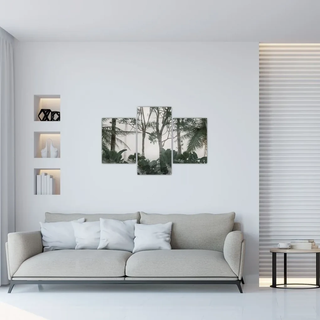 Obraz - Jungle v rannej hmle (90x60 cm)
