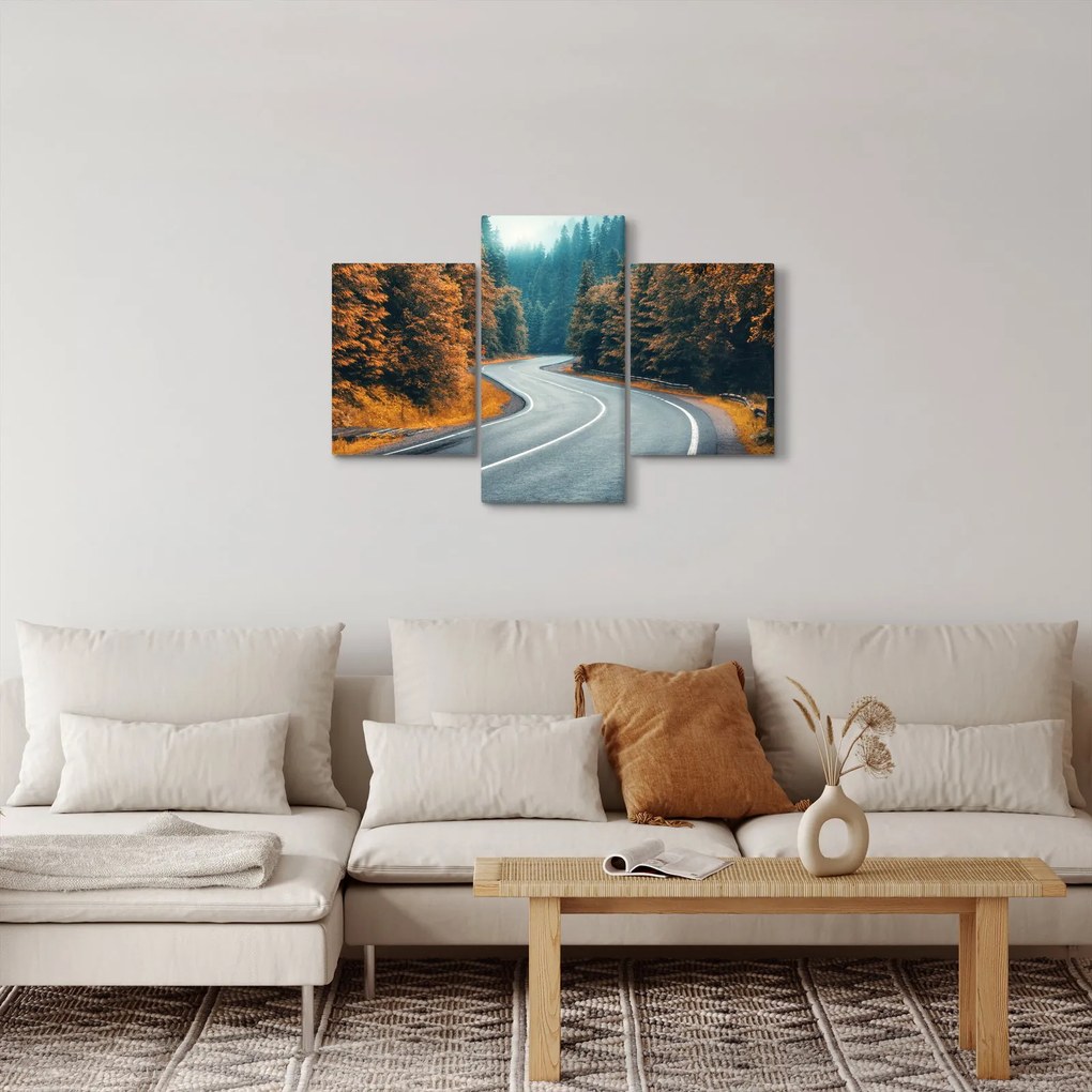 Obraz - Kľukatá cesta (90x60 cm)