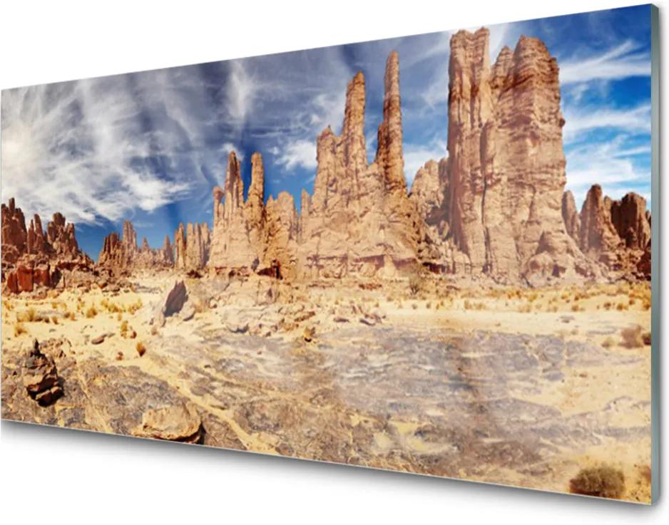 Obraz na akrylátovom skle púšť Krajina