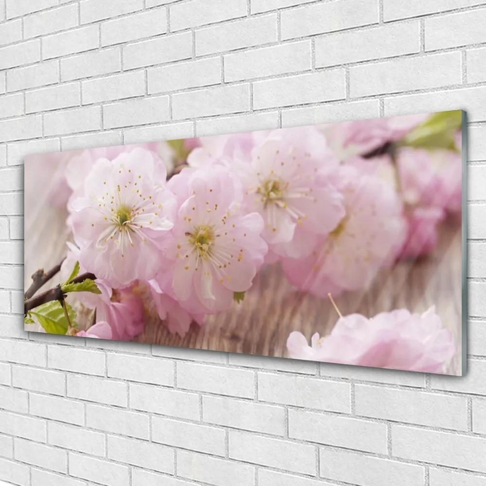 Obraz plexi Vetvy kvety plátky príroda 125x50 cm