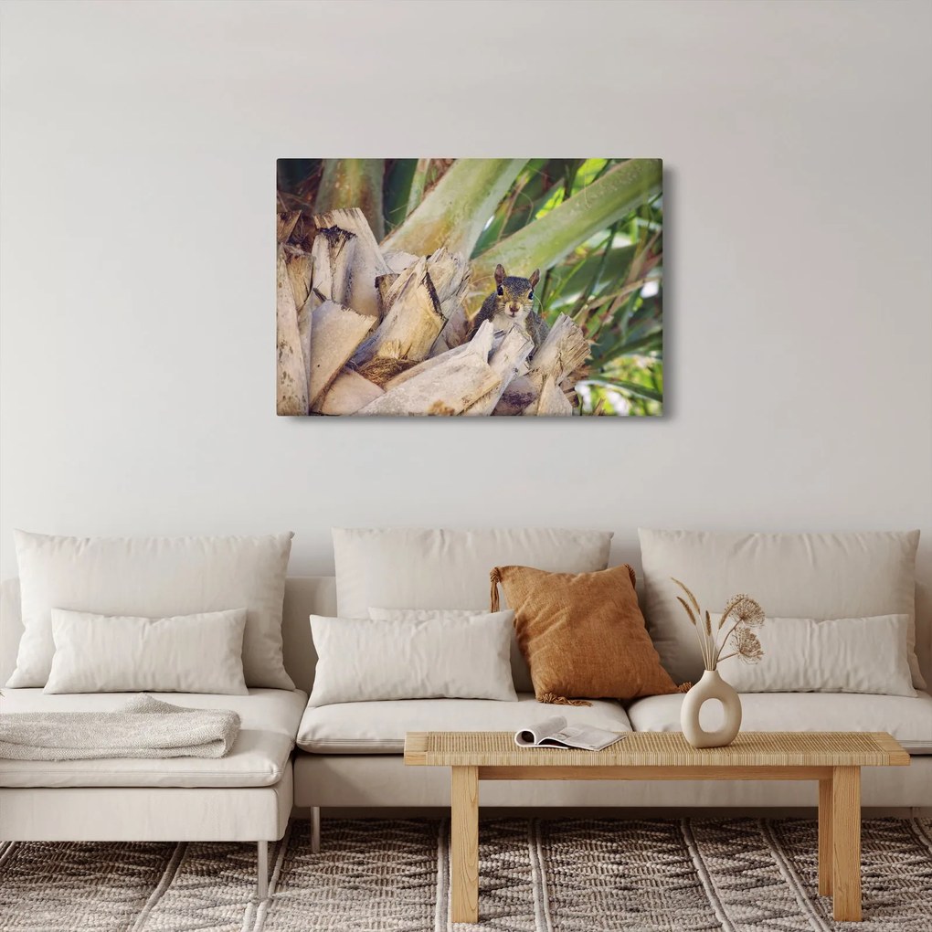 Obraz veveričky na strome (90x60 cm)