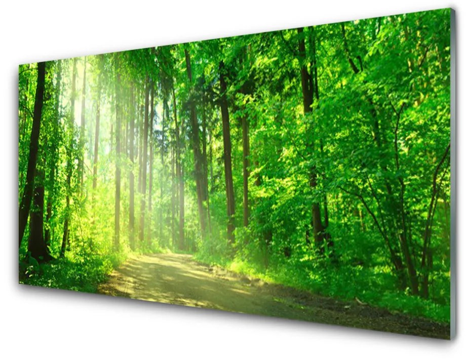 Obraz plexi Les cestička stromy príroda 140x70 cm