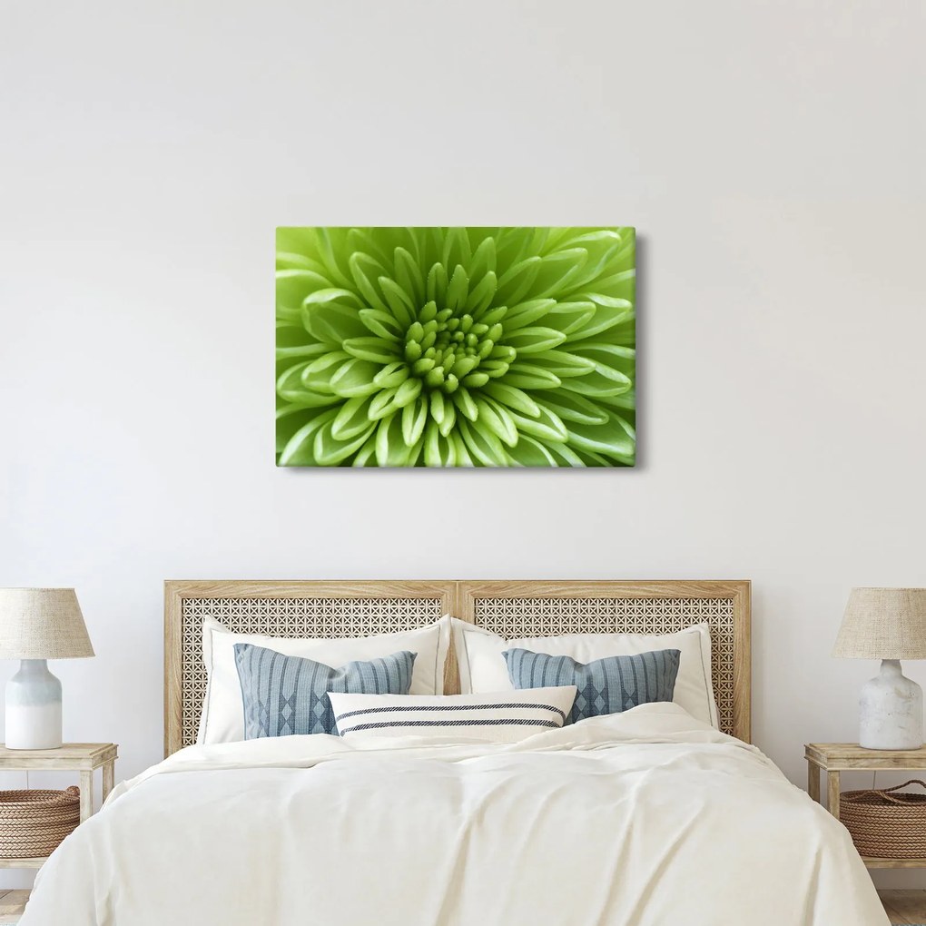 Obraz - Makro snímka rastliny (90x60 cm)