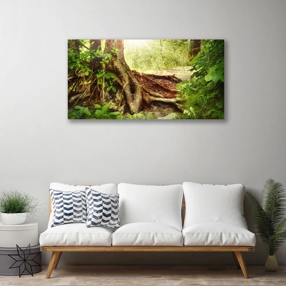 Obraz Canvas Strom kmeň príroda les 125x50 cm
