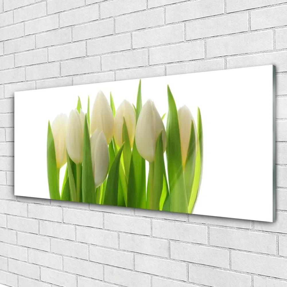 Obraz na akrylátovom skle Tulipány rastlina príroda 125x50 cm