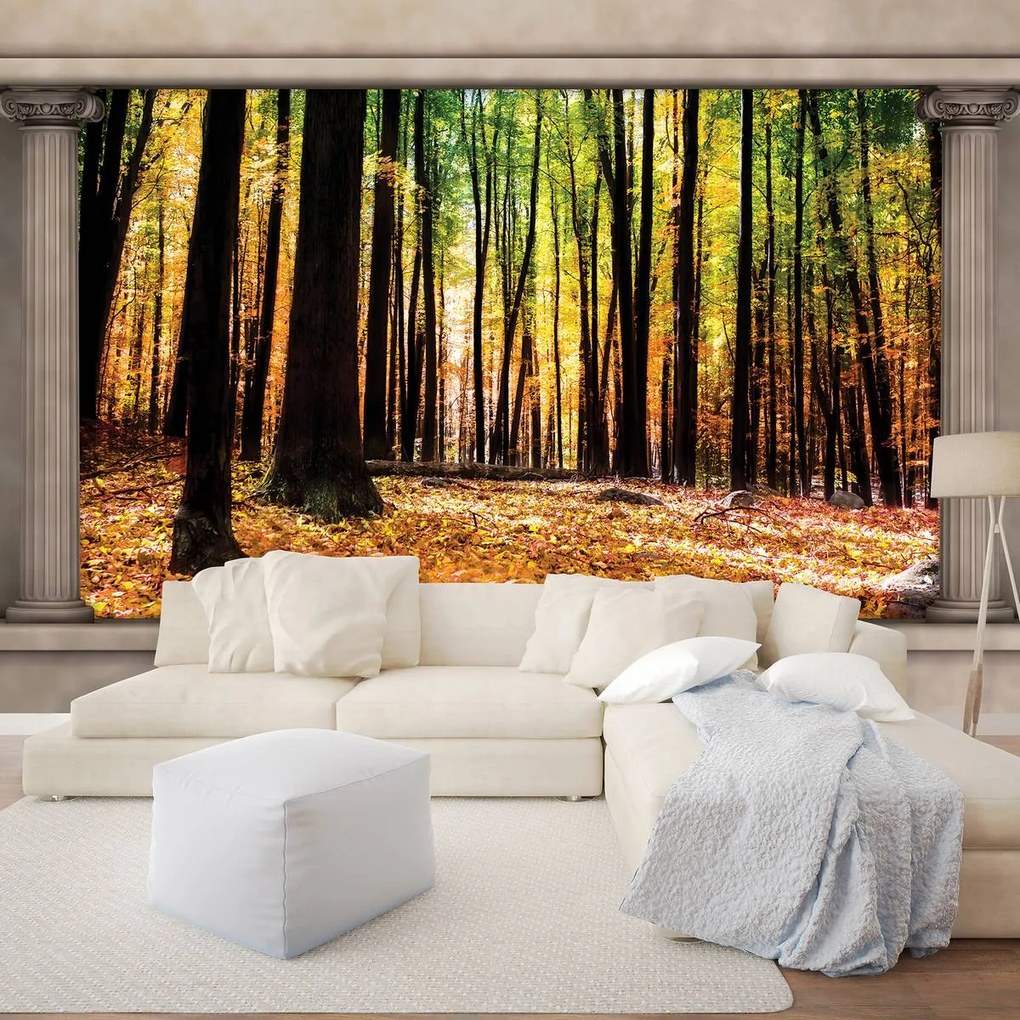 Fototapeta - Jesenný les (152,5x104 cm)